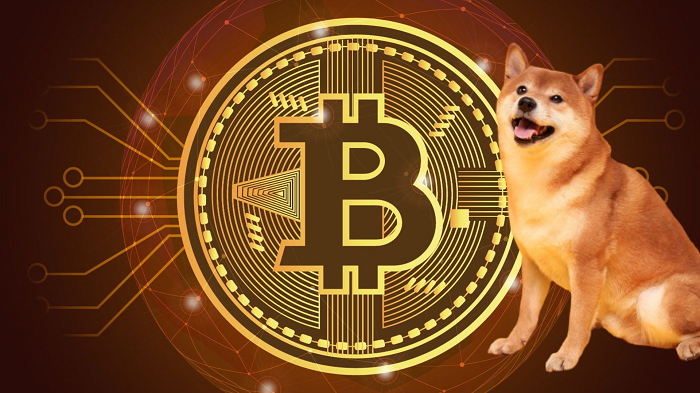 Good time to invest in crypto market| Shiba Inu coin
