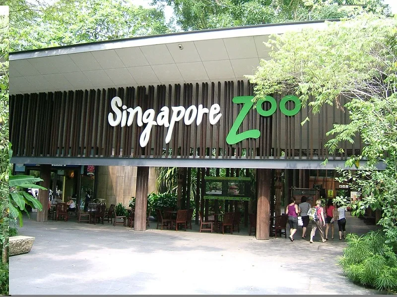 Do you know why Singapore is the best tourist place in the world? | You should plan to stay in 2023 5 Singapore Zoo jpg