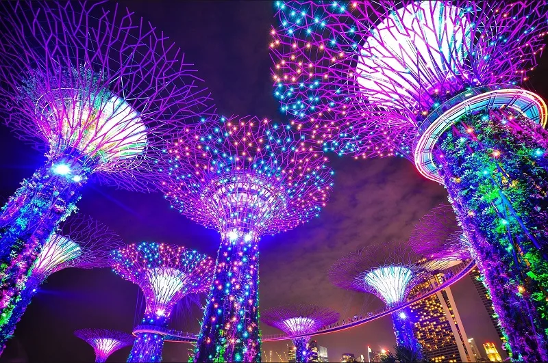 Do you know why Singapore is the best tourist place in the world? | You should plan to stay in 2023 3 gardens by the bay singapore 1 jpeg