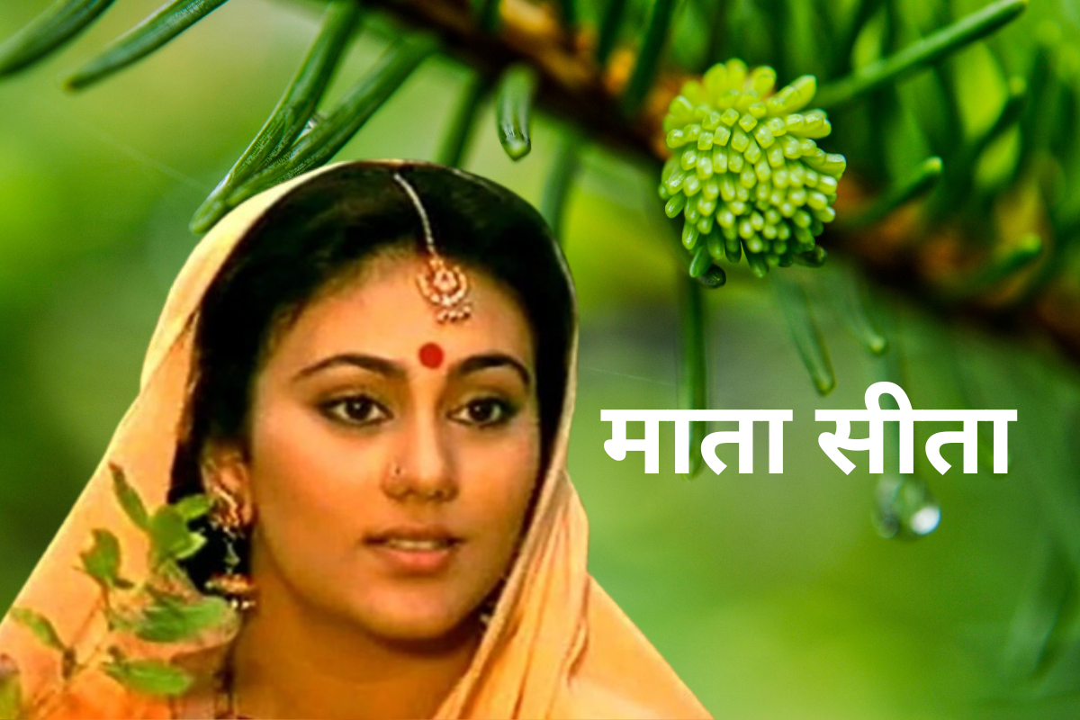 रामायण सीता स्वयम्वर की अद्भुत कहानी| Amazing story of Ramayana Sita Swayamvar in hindi