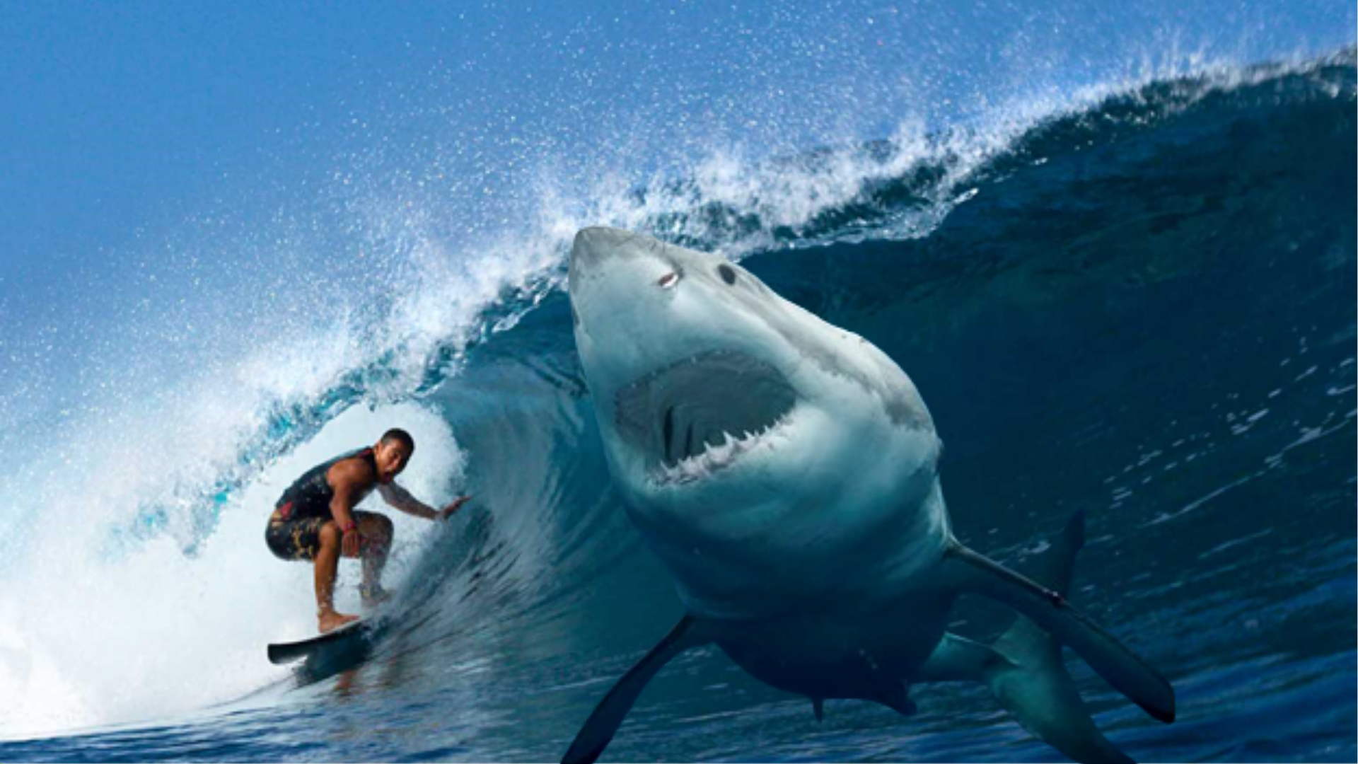 Caribbean Actor Pirate Tamayo Perry died in a shark attack at 49