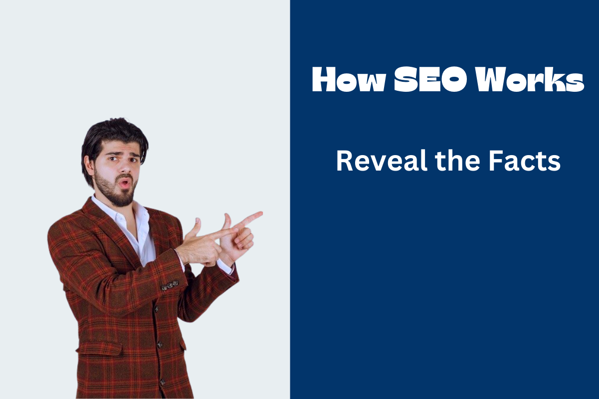 How SEO Works Reveal the Facts |SEO Updates